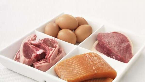 Alimentos proteicos para emagrecer