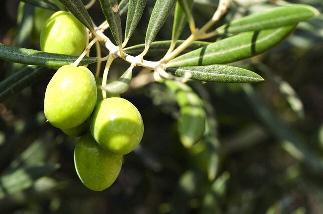 Benefícios de comer azeitonas em uma dieta cetogênica